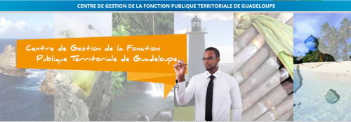 Le site internet  du CDG 971 fait peau neuve !
