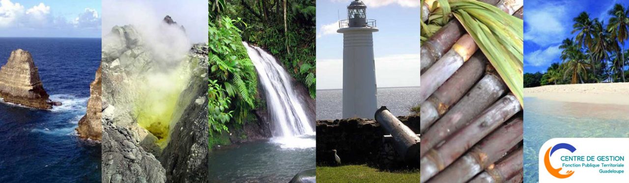 Bienvenue au Centre de Gestion de la Fonction Publique Territoriale de la Guadeloupe