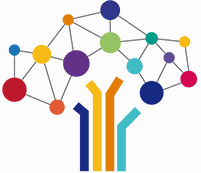 Lancement campagne de collecte des données sociales 2025